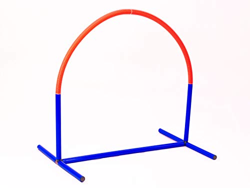 Procyon Hooper, blau/orange - 2 Sets von NATIV