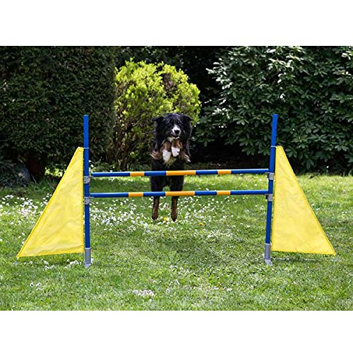 Procyon Dog Agility Profi Hürde von Procyon