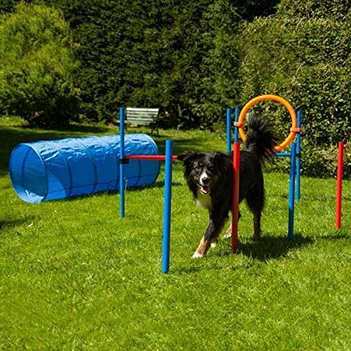 Procyon Dog Agility Set K2 PRO von Procyon