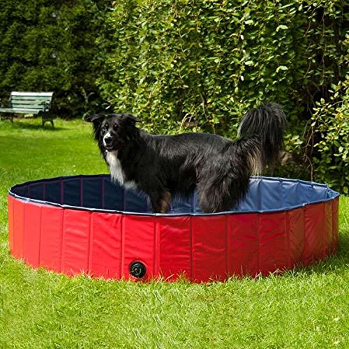 Procyon Hundepool - 120 cm von Procyon