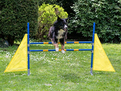 Procyon Profi Agility Hürde Hunde-Training-Set höhenverstellbar - FCI konform von napz
