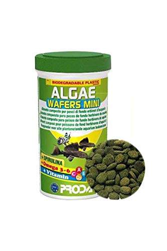 Algae Wafer Mini 100 ml 50 g von Prodac