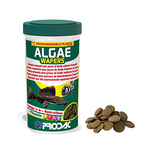 prodac Algae Wafers 250ml, Futter für Vegetarische Grundfische von Prodac