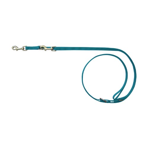 Wolters Cat&Dog Professional 25153 Führleine Standard Gr.S 200cm x 10mm aqua von Professional アリエール