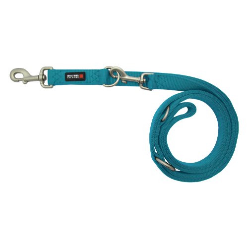 Wolters Cat&Dog Professional 25253 Führleine Classic Gr.M 200cm x 15mm aqua von Professional アリエール