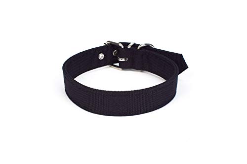 Project Blu Hundehalsband, umweltfreundlich, aus nachhaltigem recyceltem Material, Größe 40, Halsumfang 27 - 33 cm, Schwarz von Project Blu