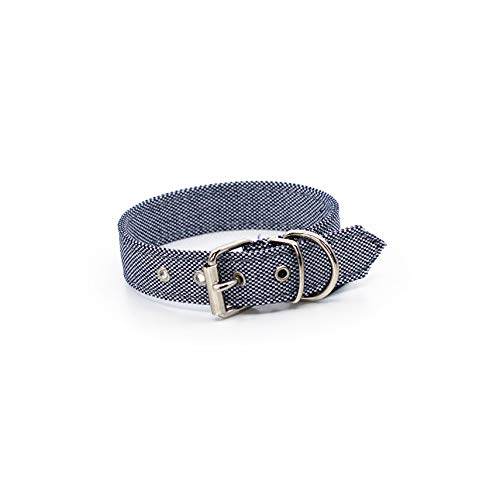 Project Blu Hundehalsband von Project Blu