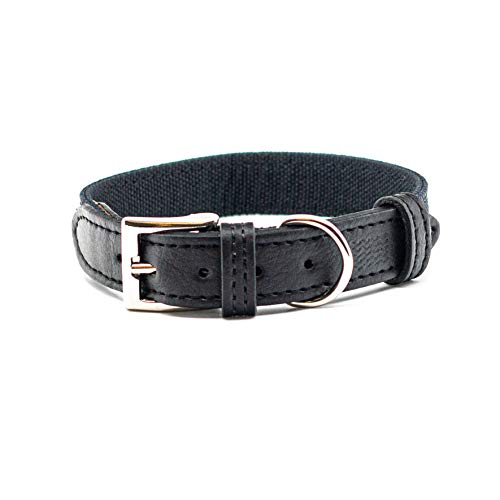 Umweltfreundliches E-Leder-Hundehalsband, nachhaltiges und recyceltes Material (Santorini, Medium) von Project Blu