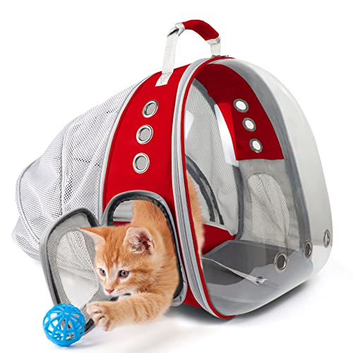 Katzenrucksack, erweiterbar, für Fluglinien zugelassen, Haustier-Tragetasche für kleine, mittelgroße Katzen und Welpen, zum Wandern, Spazierengehen, für den Außenbereich von Prokei