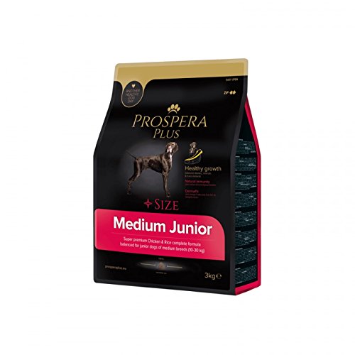 Prospera Plus Hundefutter für Jungen, mittlere Rasse, Medium Junior Superpremium Huhn und Reis, 3 kg von Prospera Plus