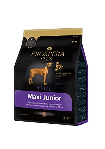 Prospera Plus gedeiht Plus Pienso Junge Hunde Rasse groß – Maxi Junior Superpremium Huhn und Reis 3 kg von Prospera Plus