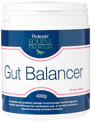 Generisch 5027314503619 Protexin Equine Premium Gut Balancer (Size: 400g) von Protexin Equine Premium