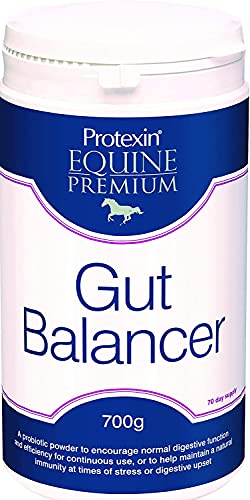 Protexin Equine Premium 5027314503596 Protexin Reitsport Premium Bauch Balancer - Durchsichtig, 700g von Protexin Equine Premium