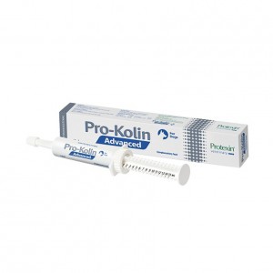 Protexin Pro-Kolin Advanced Hund 15 ml von Protexin