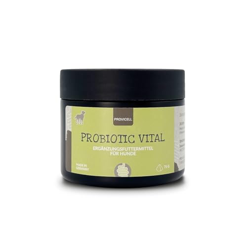 Provicell Probiotic Vital Hund | Probiotisches Ergänzungsfuttermittel mit Tierärzten in Deutschland entwickelt | 75 g Pulver | 1 Bakterienstamm für Hunde | Reich an Ballaststoffen von Provicell