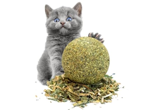 Przydasie 1 x Katzenminze Ball 3cm | Katzenminze Kugeln | Natürliches Katzenspielzeug | Leckeres Catnip und Spielball für Katzen in einem von Przydasie