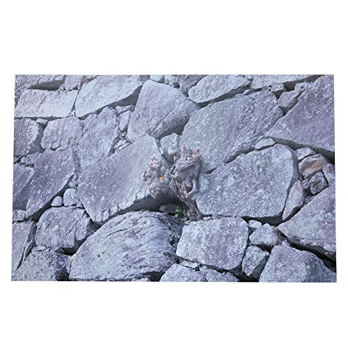 3D Effekt Rock Stone Poster Selbstklebende Reptilien Terrarium Aquarium Hintergrund Aquarium Wandaufkleber Aquarium Hintergrund Unterwasser Poster PVC Dekor Tapete (61 x 41 cm) von Pssopp