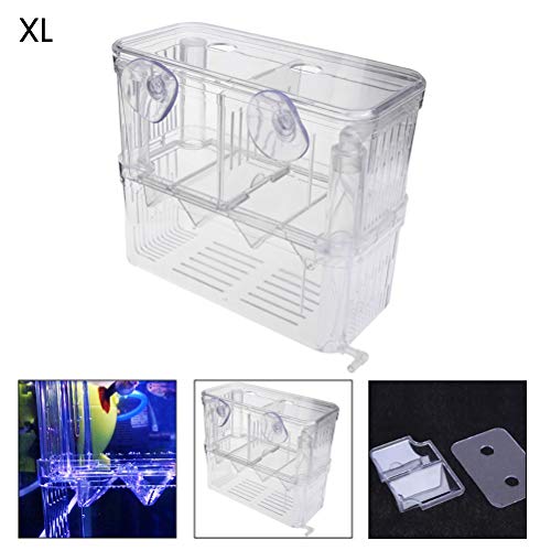 Pssopp Acryl Dual Layer Hängende Fischzucht Aquarium Fry Baby Fish Inkubator Netz Isolationsbox (Wie Gezeigt #23) von Pssopp