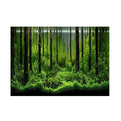 Aquarium Poster Aquarium Rückwandfolie Aquarium Hintergrund Dekoration PVC Klebstoff Unterwasser Wald Tank Hintergrund Poster Doppel Seiten Hintergrund Dekoration Papier für Aquarium(61 * 30cm) von Pssopp