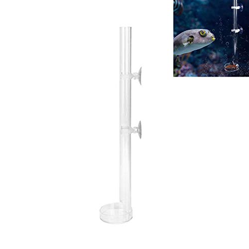 Feeder Tube und Platte für Garnelenfische Acryl Transparent Aquarium Crystal Shrimp Feeder Aquarium Ernährungssonde(32cm) von Pssopp