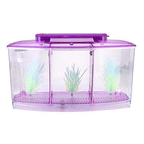 Hffheer Mini Aquarium DREI Divisionen Kleine Fische Zucht Isolation Box Acryl Fisch Garnelen Brutplatz mit LED-Licht und leuchtendem Wasser Gras(lila) von Pssopp