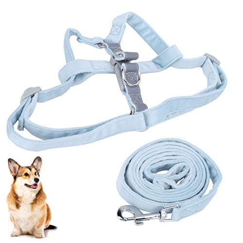 Hundegeschirr No Pull Pet Harness Verstellbares Easy Walk Hundegeschirr Hunde Outdoor-Gehgurt für Kleine Mittelgroße Hunde(S Hellblau) von Pssopp