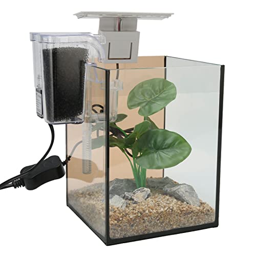 Kleines Aquarium-Set, 7,9 X 5,9 X 5,9 Zoll Glas-Aquarium-Set, LED-Clip-Licht, Sicher, Geräuschlos, Schwarze Baumwollfiltration, Kleines Aquarium-Set für Aquascaping (EU-Stecker von Pssopp