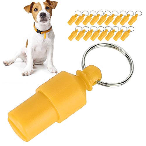 Pssopp 20 Stück Hund ID Tag Mini Anti Lost Pet Tube Tag Wasserdichter Kunststoff ID Name Tags Hundehalsband Anhänger Etikett für Hunde Welpen Katzen(Orange) von Pssopp