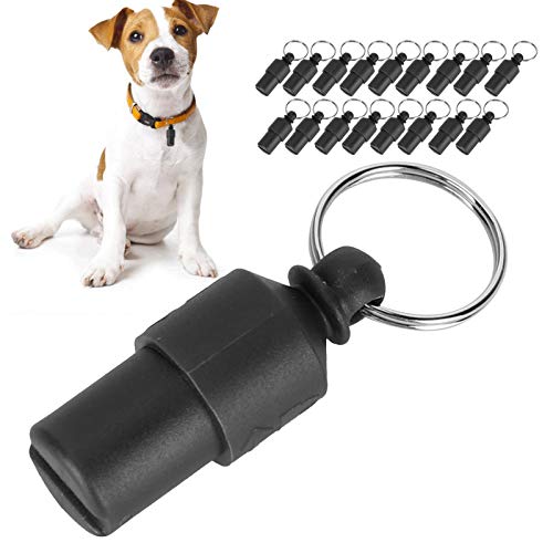 Pssopp 20 Stück Hund ID Tag Mini Anti Lost Pet Tube Tag Wasserdichter Kunststoff ID Name Tags Hundehalsband Anhänger Etikett für Hunde Welpen Katzen(Schwarz) von Pssopp