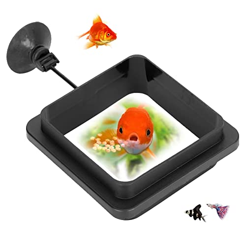 Aquarium fütterungsring Fisch Fütterung Ring Futterring Aquarium Füttern Ring Fischfutter Werkzeug für Teich Gartenteich Futterring für Teichfische(Quadrat) von Pssopp