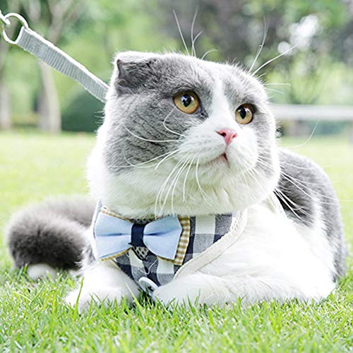 Pssopp Cat Harness Vest Atmungsaktives Soft Air Mesh Verstellbares Harness Cat Vest Chest Harness Cat Vest Harness und Leinen Set für Katzen Kätzchen (L) von Pssopp