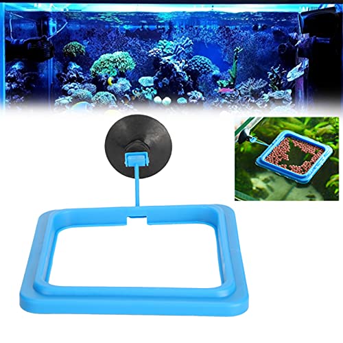 Pssopp Fischfütterungsring Square Aquarium und Tank Schwimmringe Food Feeder Circle Feeder Station mit Saugnapf für Guppy Betta Goldfish von Pssopp