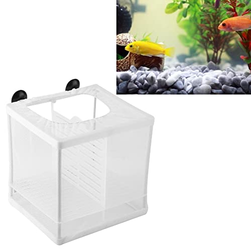 Fish Incubator Mesh Box Aquarium Brüterei Aquarium Isolation Box Fischzüchter Box Jungfisch Brüterei Inkubator mit Isolation Board von Pssopp