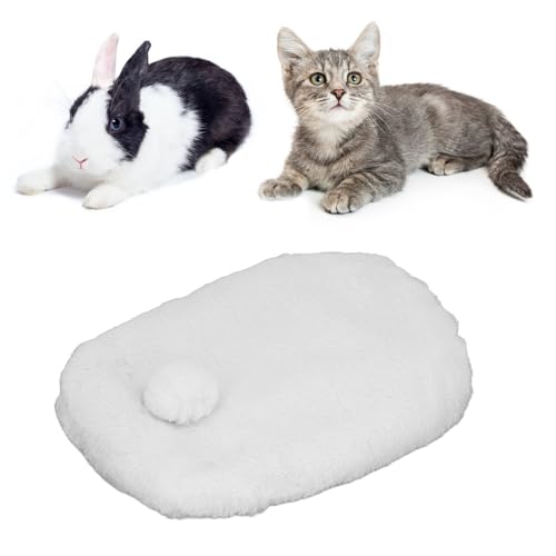 Pssopp Haustier-Plüschunterlage, Hautfreundliches Fleece-Haustierkissen mit Doppeltem Verwendungszweck, Bettmatte, Katzenbett-Matratze für Kleine Hunde, Katzen, Welpen (White) von Pssopp