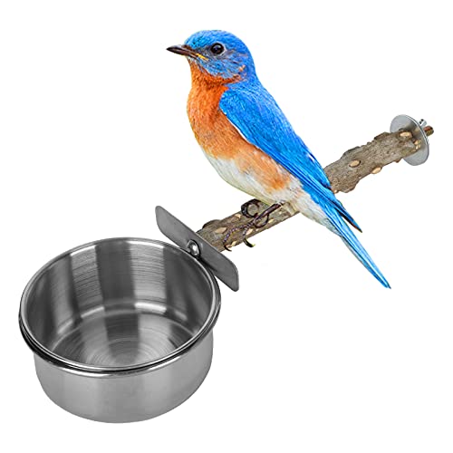 Pssopp Holzvogel Barsch mit Vogelfutterbechern Edelstahl Papagei Futter Wasserschalen Dish Feeder für Cockatiel Conure Wellensittiche Sittich von Pssopp