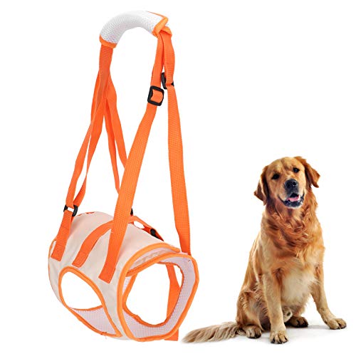 Hundegeschirr Tragehilfe Hunde Gehhilfe Hundelift Harness Verstellbares Hüftstützgeschirr bei Altersschwäche Behinderungen Rehabilitation(XL) von Pssopp