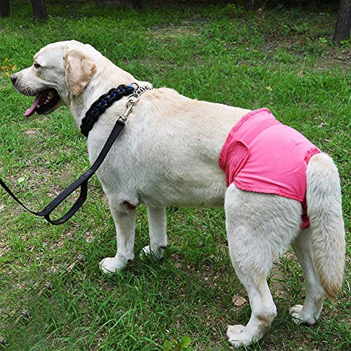 Hundewindeln für Hündinnen, Waschbar Schutzhose Hundewindeln Robuste und Wiederverwendbare Hund Hygieneunterhose aus Baumwolle mit Magictape für Weibliche Haustiere Hunde Welpen(rosa M) von Pssopp