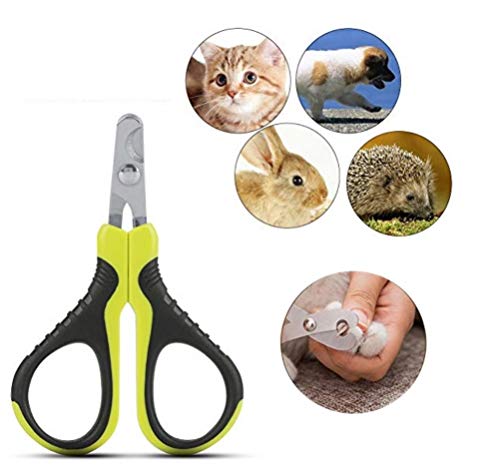 Pssopp Krallenschere Katzen Hund Krallenzange Haustier Nagelknipser Tragbare Professionelle Klaue Schere Trimmer Grinder Cutter für Nager Katzen Hunde Welpen, Katzen, Hasen und Meerschweinchen von Smandy