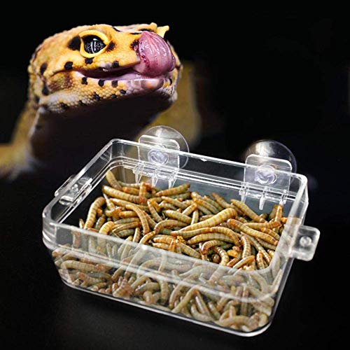 Reptilienfutterschale Amphibienfutter Wasserschale Anti-Fluchtwurm Futterschale mit Saugnapf für Tortoise Gecko Snakes Lizard Spider von Pssopp