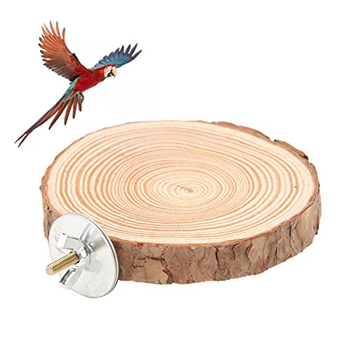 Vogel Sitzbrett Runde Holz Sitzstangen für Vogel Papagei Nymphensittich Käfige Kork Sitzbrett Papagei Holzständer Vögel Barsch Plattform für Vögel Wellensittich Nymphensittich(6cm) von Pssopp