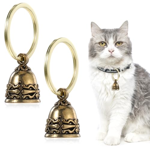 Ptwola 2 Stück Haustierglocken Messing Hundehalsband-Anhänger 2,5 cm kleine Katzen und Hunde Glocke Vintage Kupfer Schlüsselanhänger Anti-Lost Training Haustier Anhänger Tags Zubehör für Kätzchen von Ptwola