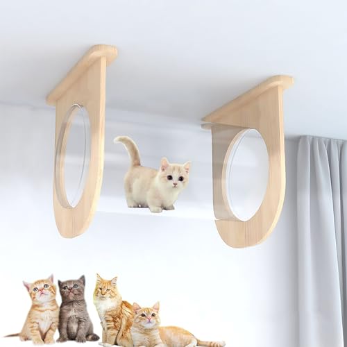 Katzenwandparkour, Moderne Wandmontierte Katzenmöbel, Katzenkletterwand, Katze Wandelement, DIY-Decken- Und Wandkombinationsset, Platzsparend(Size:S15) von Pucaru