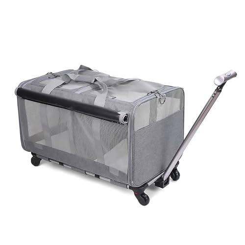 Pucaru Katzentransportbox mit Rädern, Transportbox Hund, für 2 Haustiere, für Kleine Hunde und Katzen, Zusammenklappbar (Color : Gris) von Pucaru