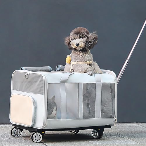 Pucaru Katzentransporter mit Rädern, Faltbarer Haustiertransporter mit Zwei Fächern, für Kleine Hunde/Katzen, mit Verstellbarem Sicherheitsseil (Size : Breathable) von Pucaru