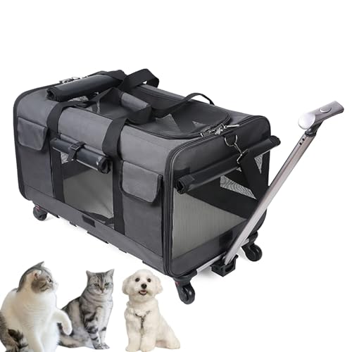 Pucaru Rollende Transportbox für Haustiere mit Rädern, Faltbare, Hundetransportbox für Kleine Hunde und Katzen, gut zum Wandern/Camping (Color : Dark Gray) von Pucaru