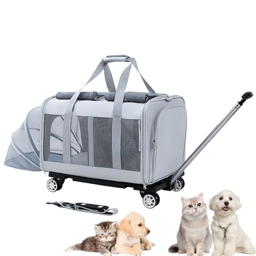 Pucaru Von der Fluggesellschaft Zugelassener Haustiertransporter mit Rädern, Zweiseitig Erweiterbarer Rolltransporter, für Hunde/Katzen Auf der Reise (Color : Light Gray) von Pucaru