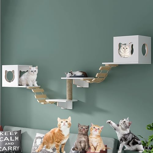 Wandmontiertes Katzen-Klettergerüst-Set, Wand-Katzen Wand Klettern, Katzennest, Sprungplattform, Raumkapsel, Robust und Stabil, Platzsparend (Size : Style1) von Pucaru