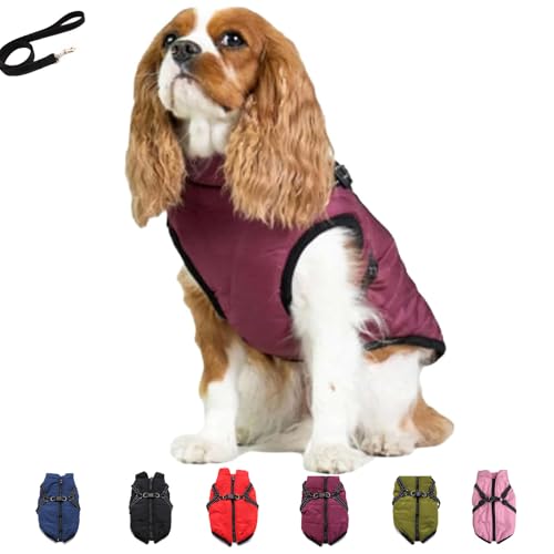 Furry King Hundewintermantel, Furryking 3-in-1-Winterjacke für Hunde, Furry-Jacke für Hunde, Furry King Hundemantel, wasserdichte, Winddichte Hundeschneejacke mit Reißverschluss (L,Purple) von Pukmqu