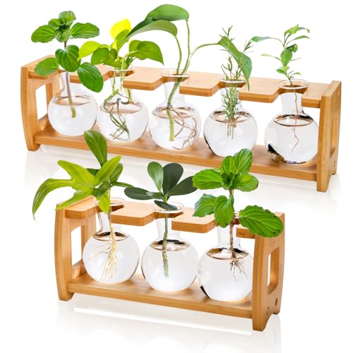 Pumtus 2 Pack Pflanzenzuchtstationen, Desktop Pflanzenterrarium mit Holzständer, Wasservermehrungsstation, Hydrokulturpflanzen Vase mit 8 Glasbirnen, kleines Anzuchtpflanzenglas für Home Office von Pumtus