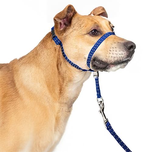 PupSensei Halfter für Hunde, extra weich gepolstert, reflektierend, kein Ziehen, sanftes Vorfach mit strapazierfähiger Nylon-Leine, gepolsterter Griff, Marineblau, Größe L von PupSensei